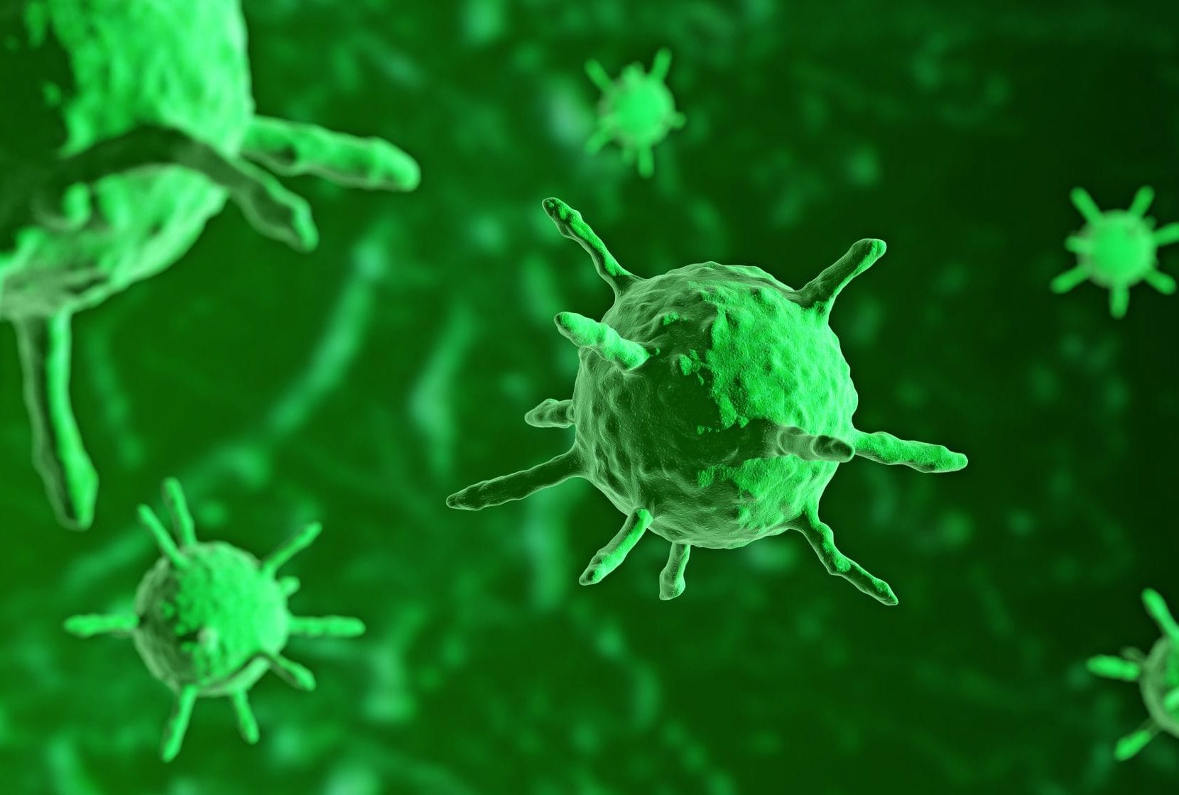 ¡Virus a bordo! Norovirus infecta a más de 100 personas
